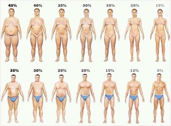 The Body Fat Percentage You Need to Achieve to See Abs