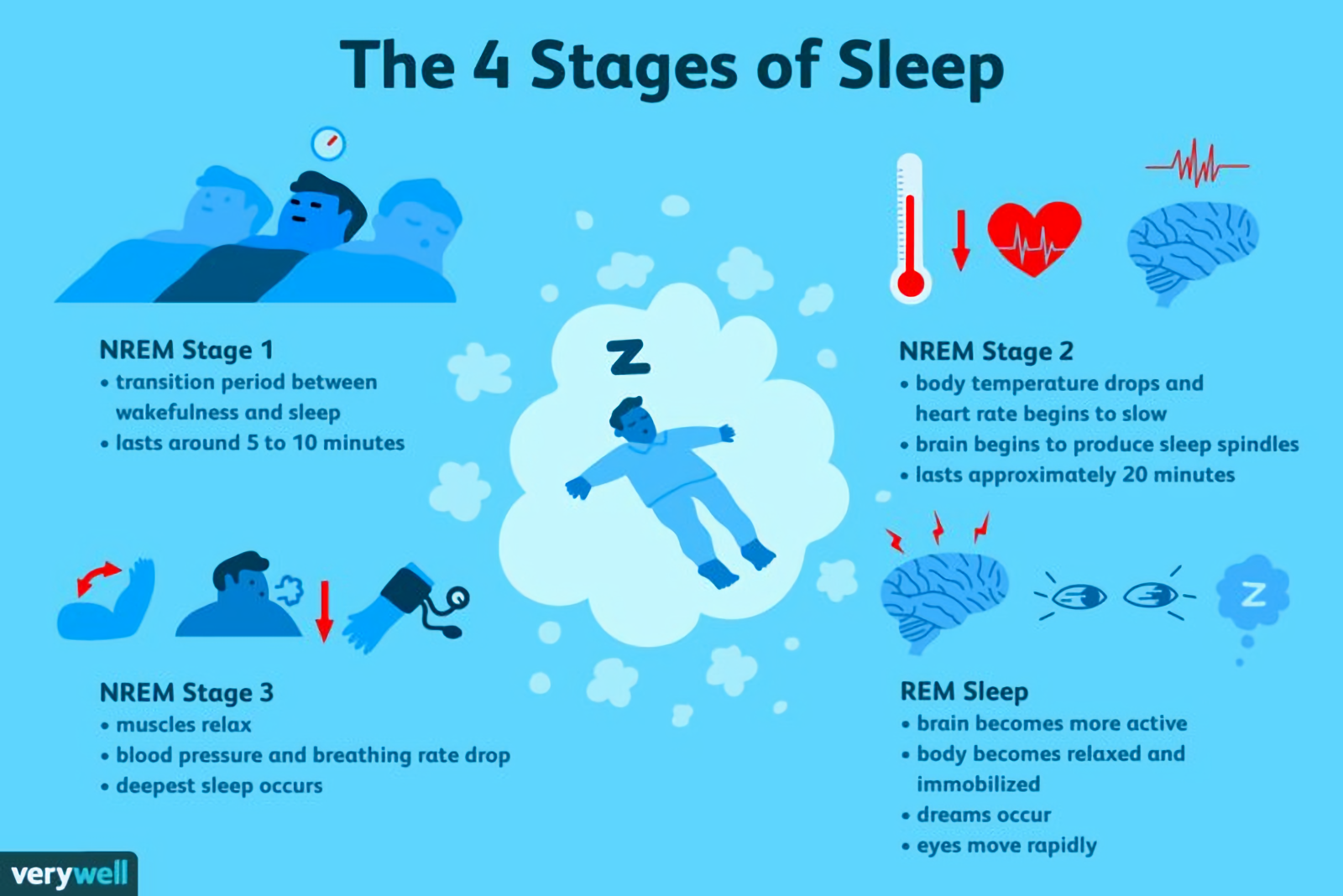 four-stages-of-sleep