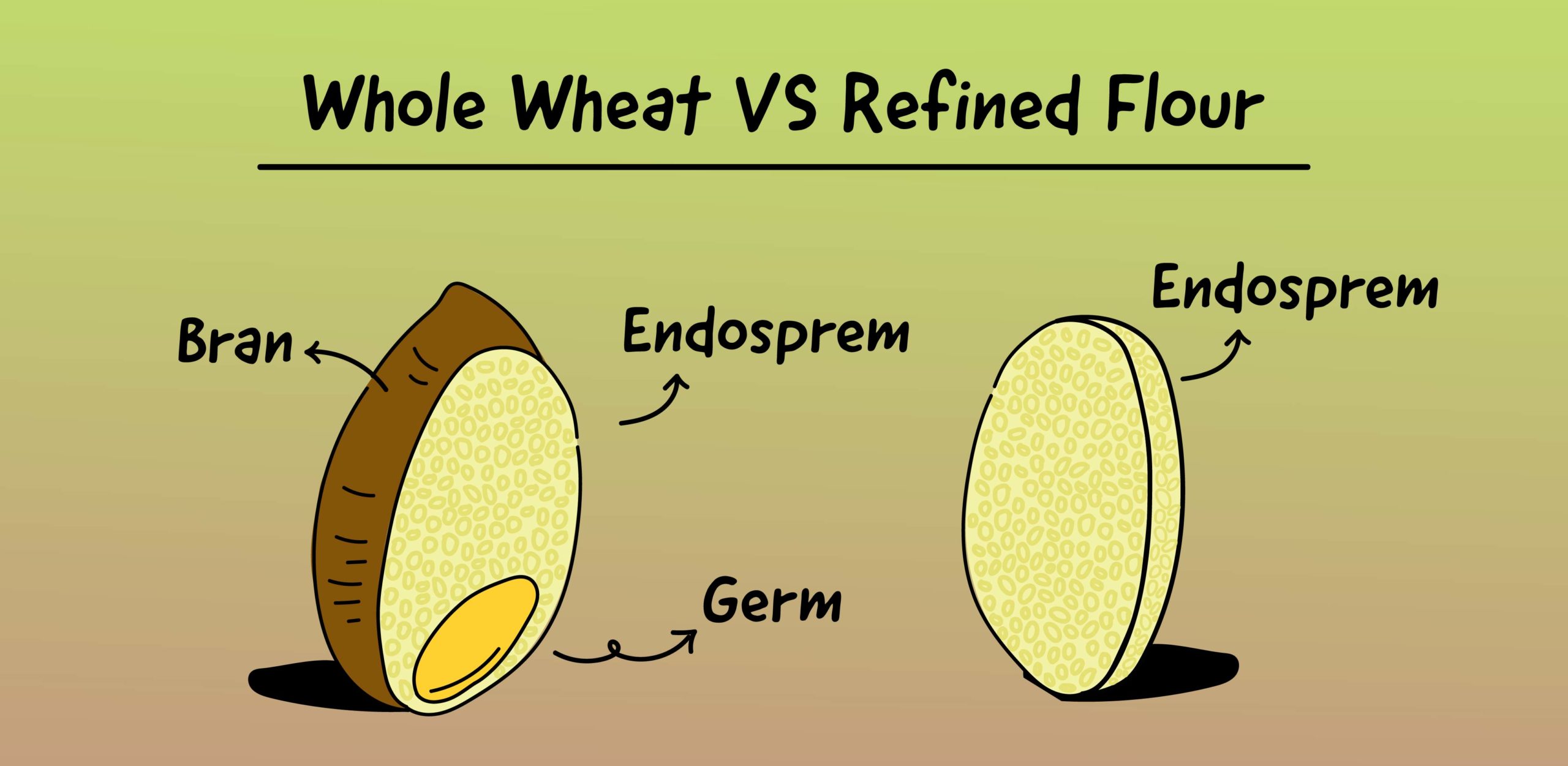 Is modern-day bread even food? - The Whole Truth