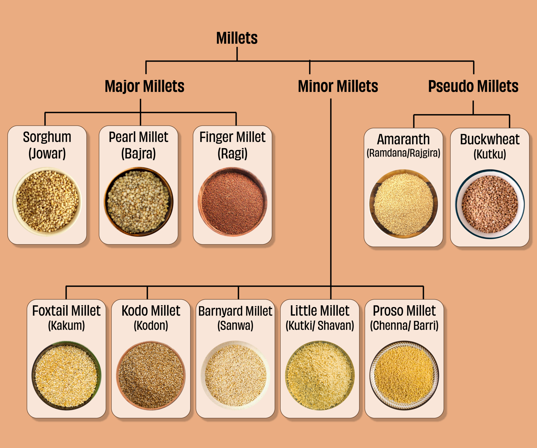 A beginner's guide to millets The Whole Truth