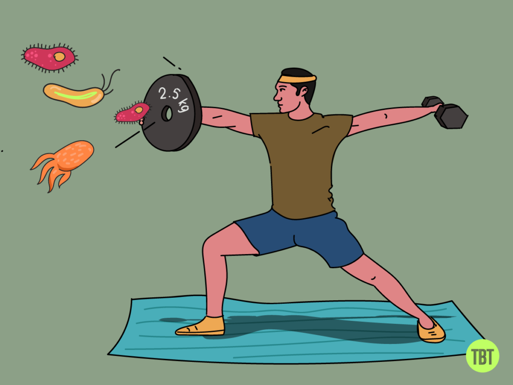 how-i-built-my-exercise-routine-the-whole-truth