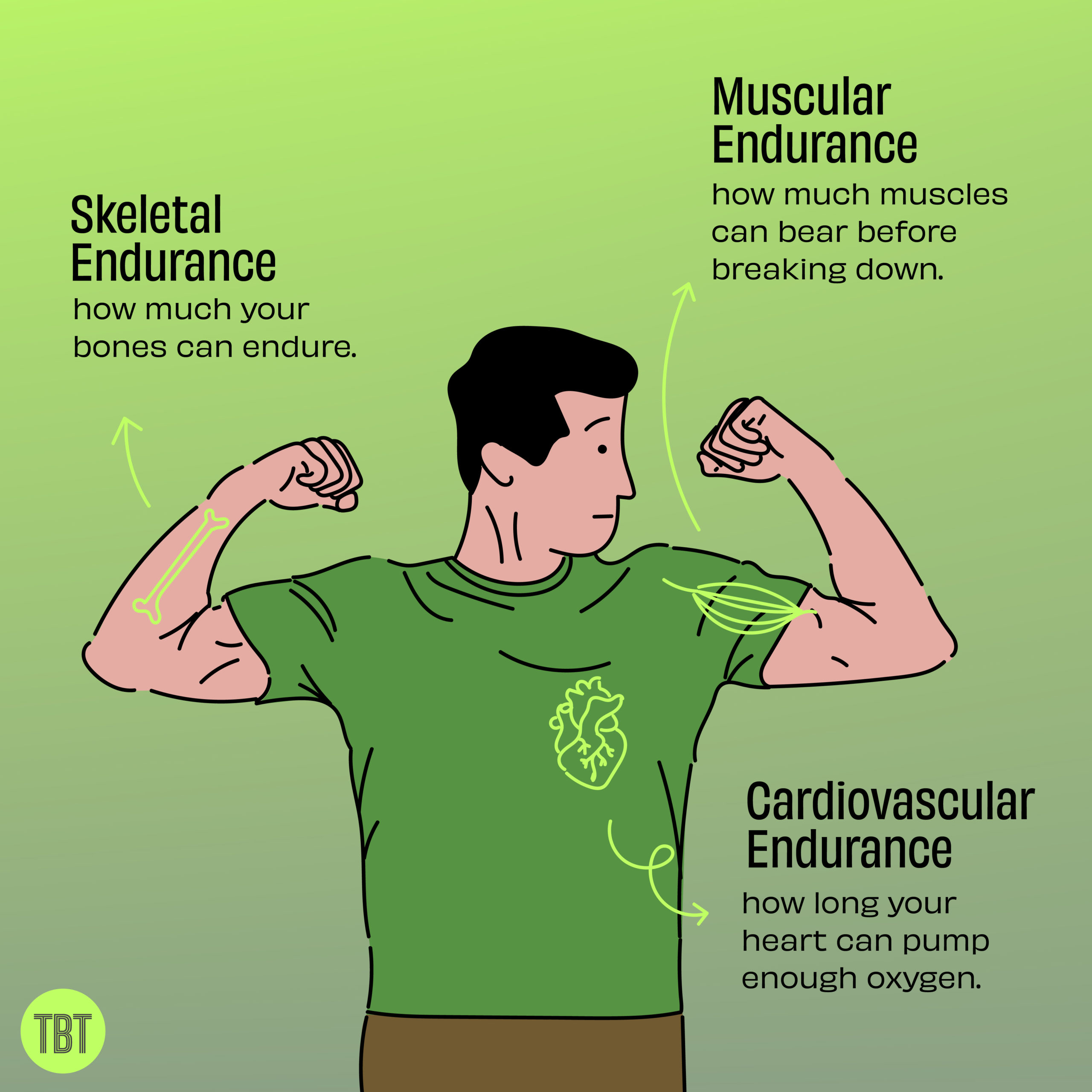 types of fitness, what is endurance training 
